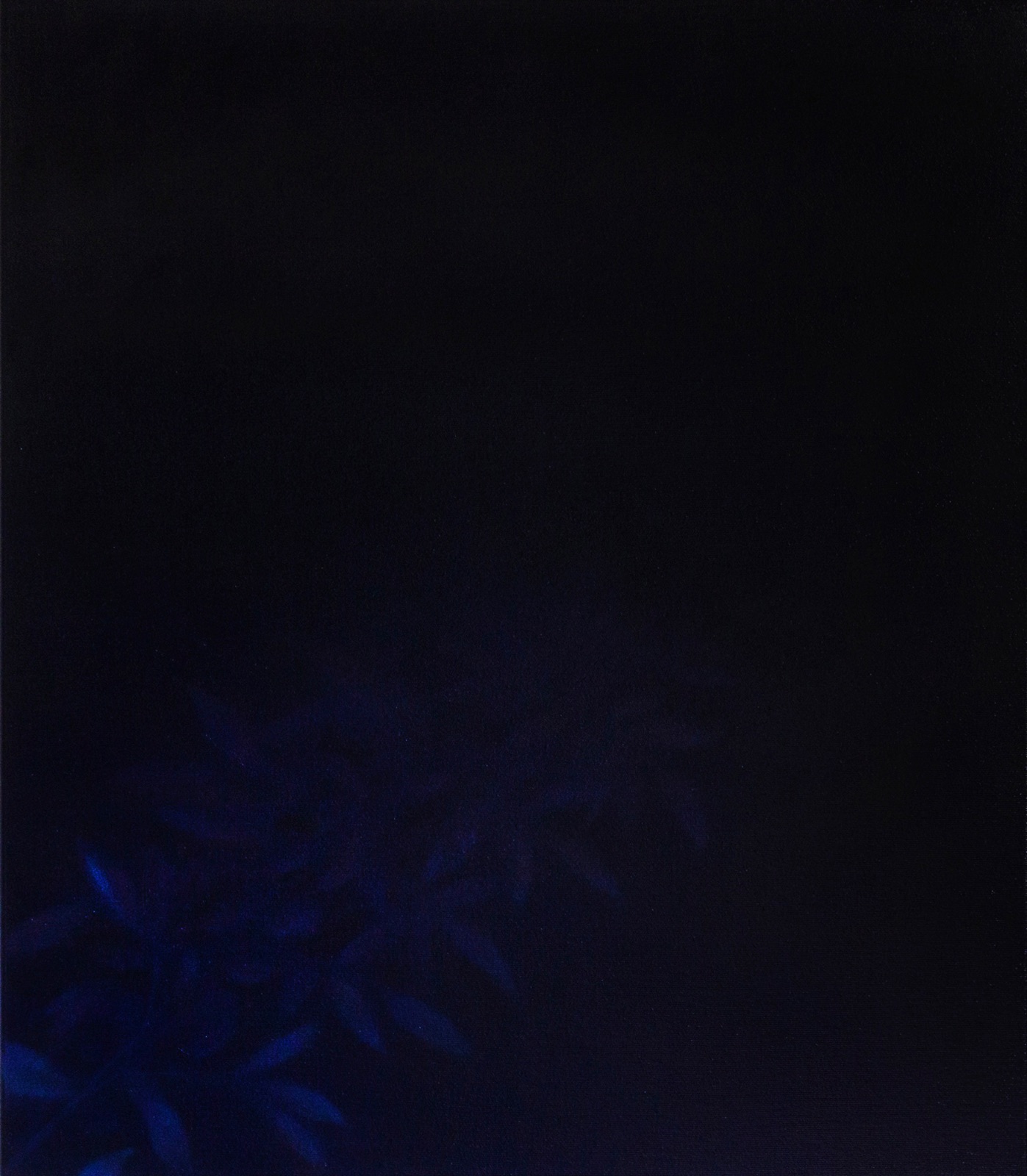 Dévorée par la nuit