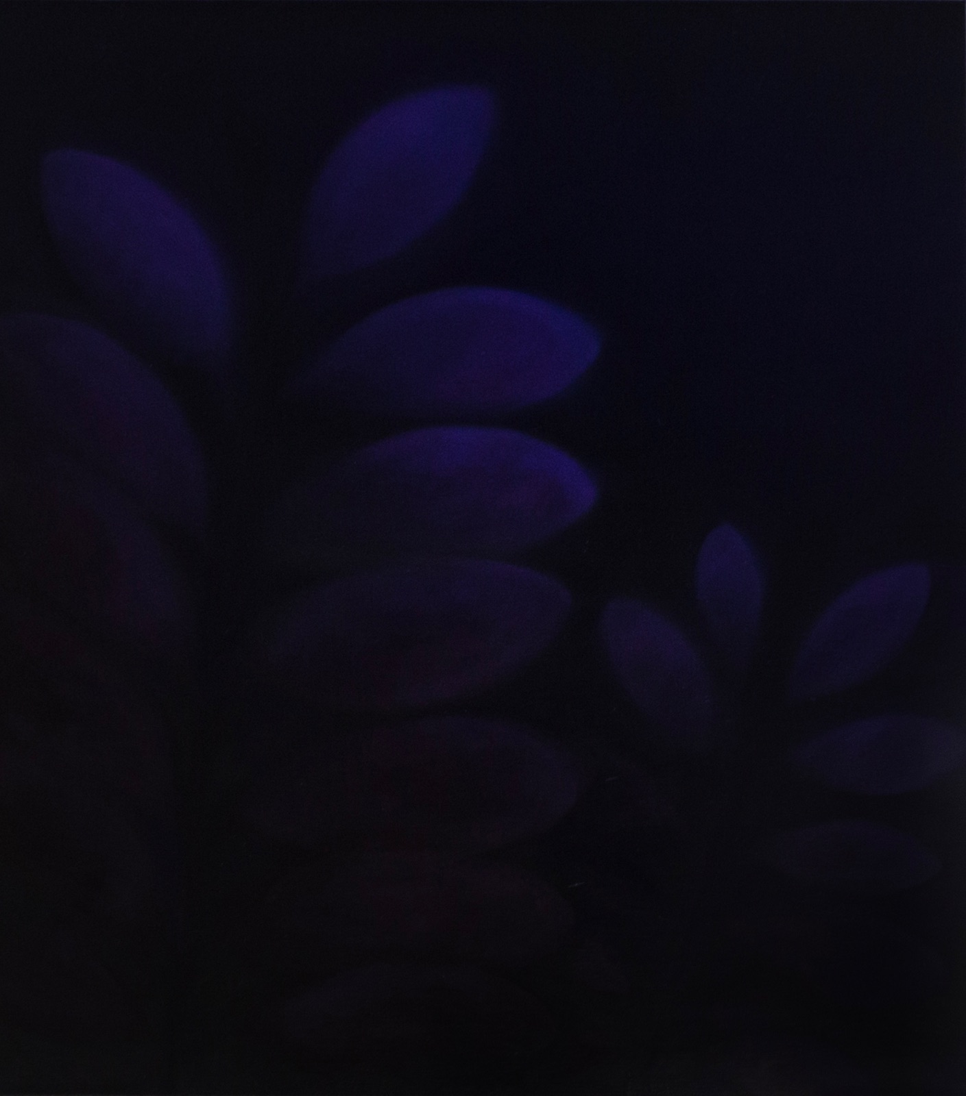 Les lèvres bleuies