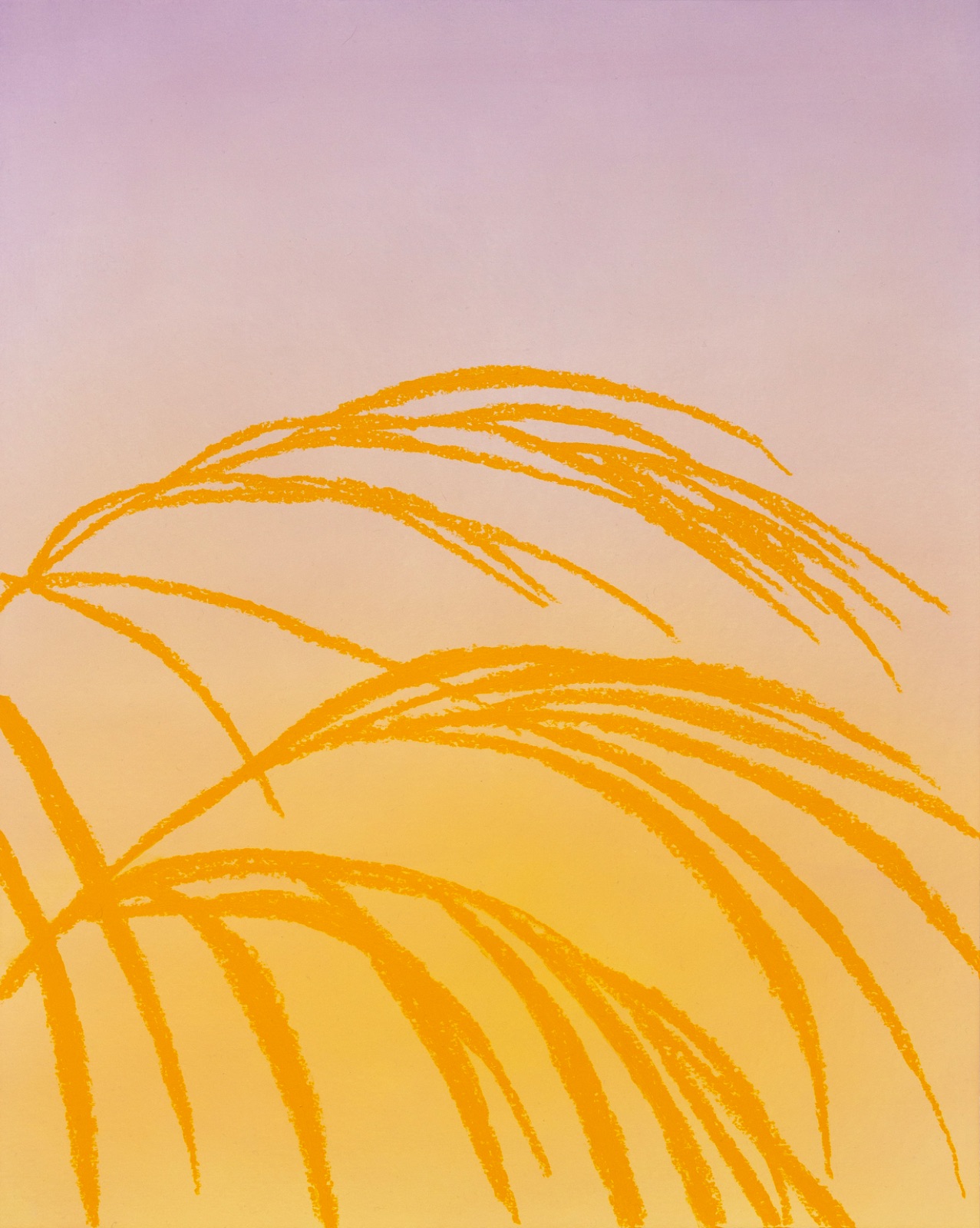 Aube #8