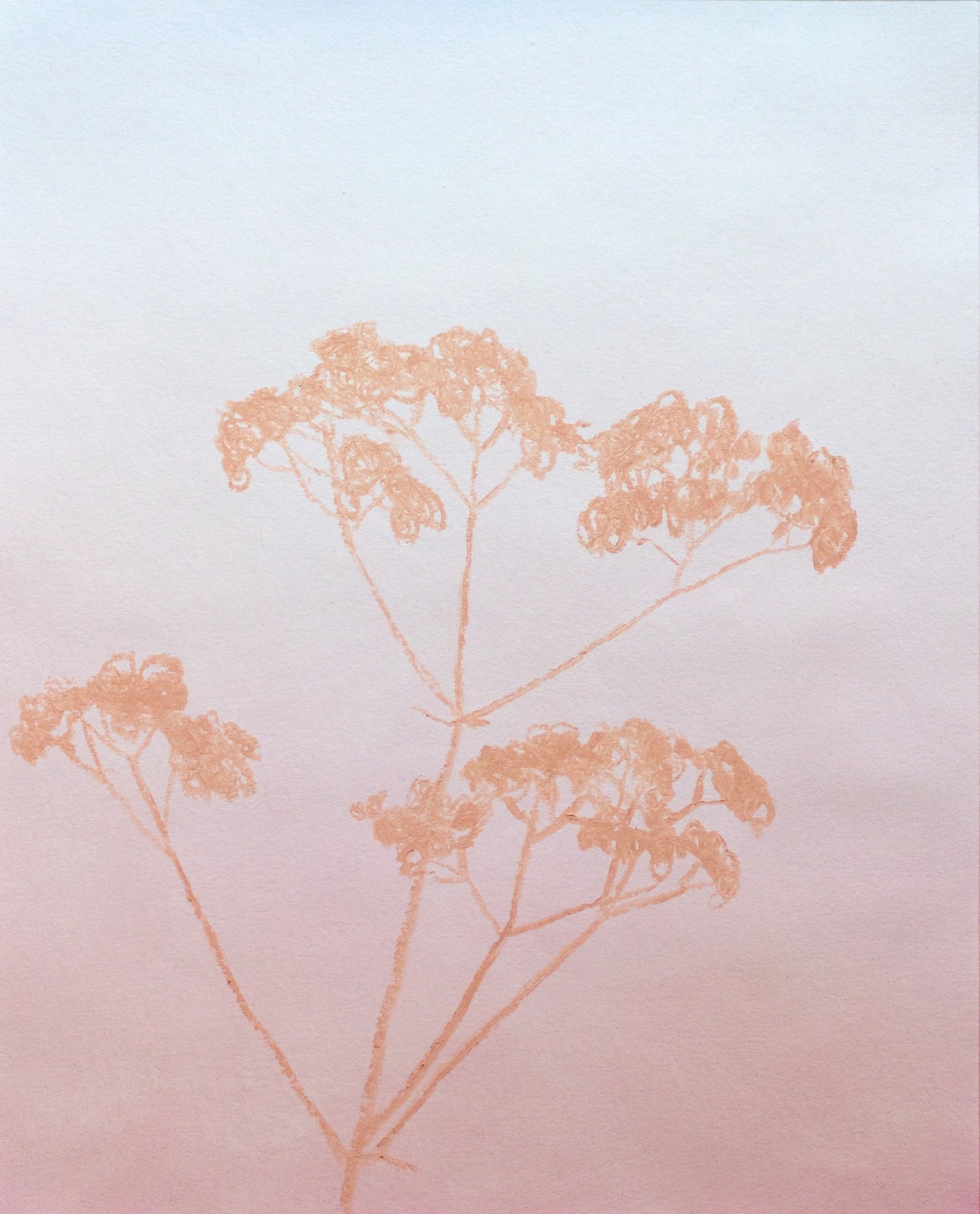 Aube #12