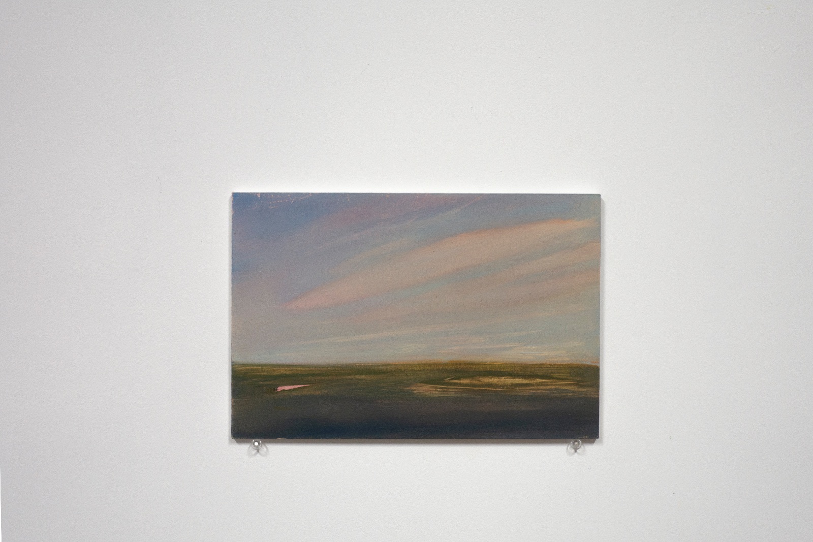 Au crépuscule, les buses