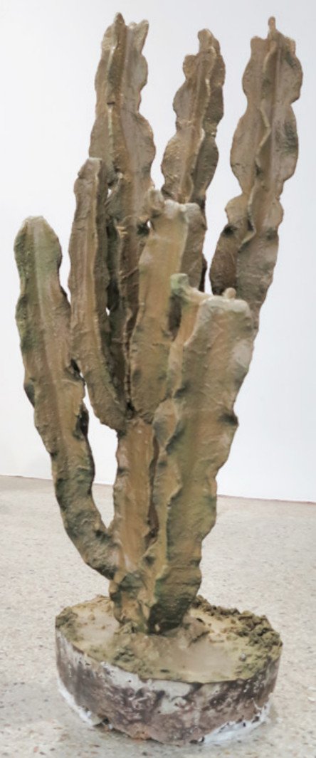 Cactus fossiles