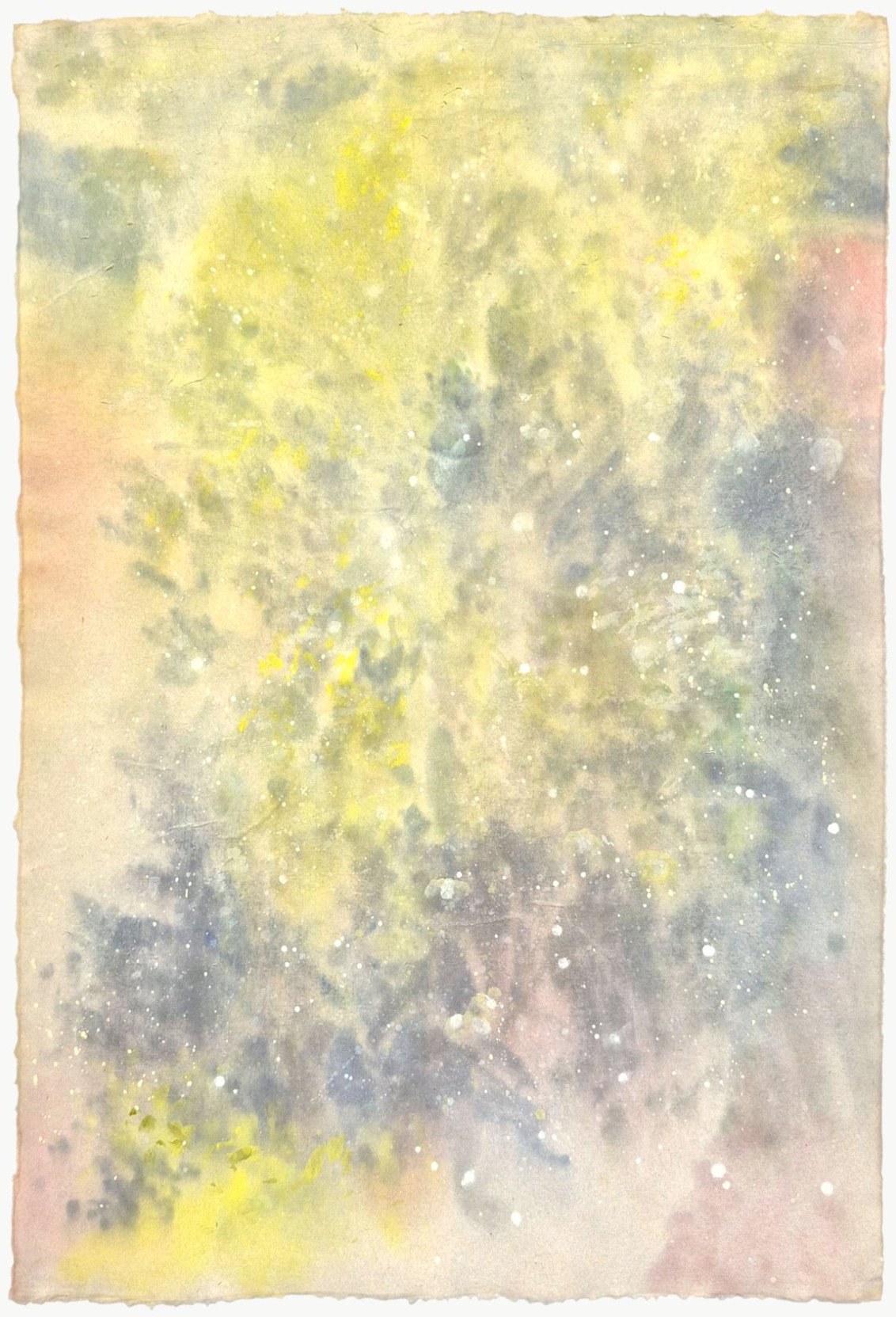 Buisson