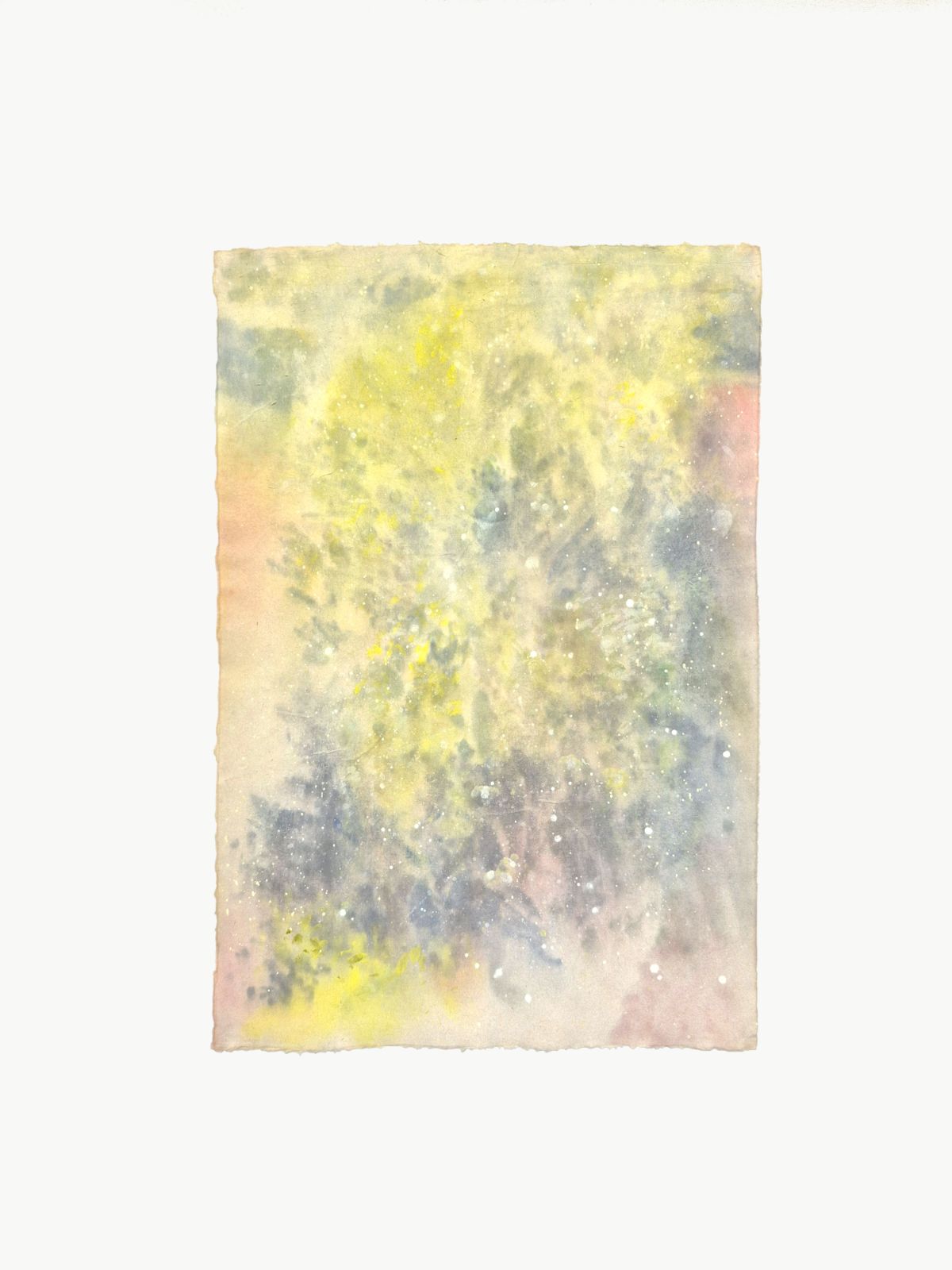 Buisson