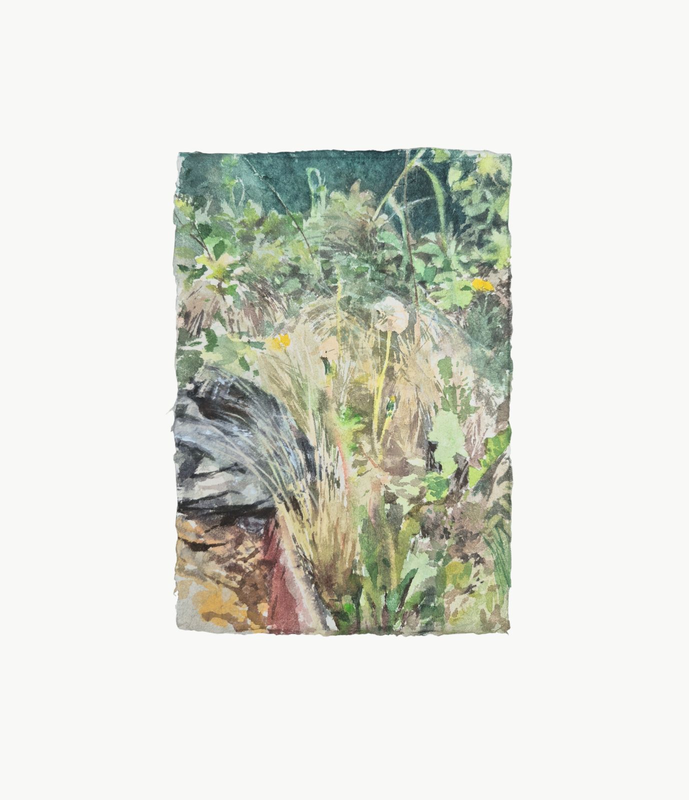 Bout de jardin