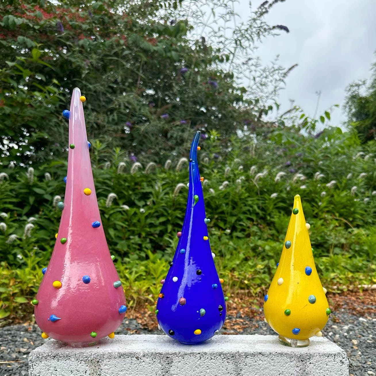 Seedlings Trio